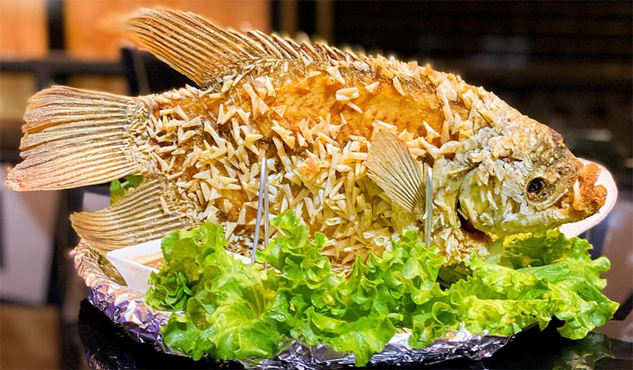 cá tai tượng chiên xù; cách làm cá tai tượng chiên xù; cá tai tượng chiên xù kiểu miền Tây; cá tai tượng chiên xù miền tây; 