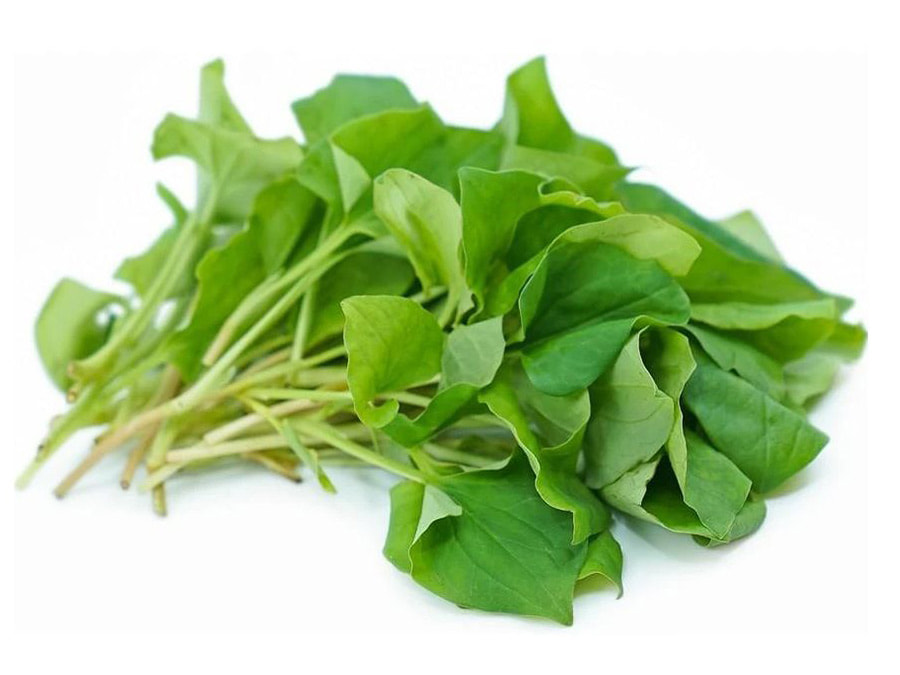 Rau diếp cá trị nhiệt miệng tự nhiên mà vô cùng hiệu quả do có chứa chất kháng sinh decanoyl-acetaldehyd